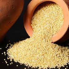 Foxtail Millets